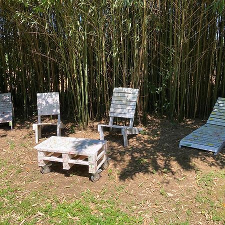 B&B - Chambres D'Hotes Acoucoula Orthez Luaran gambar